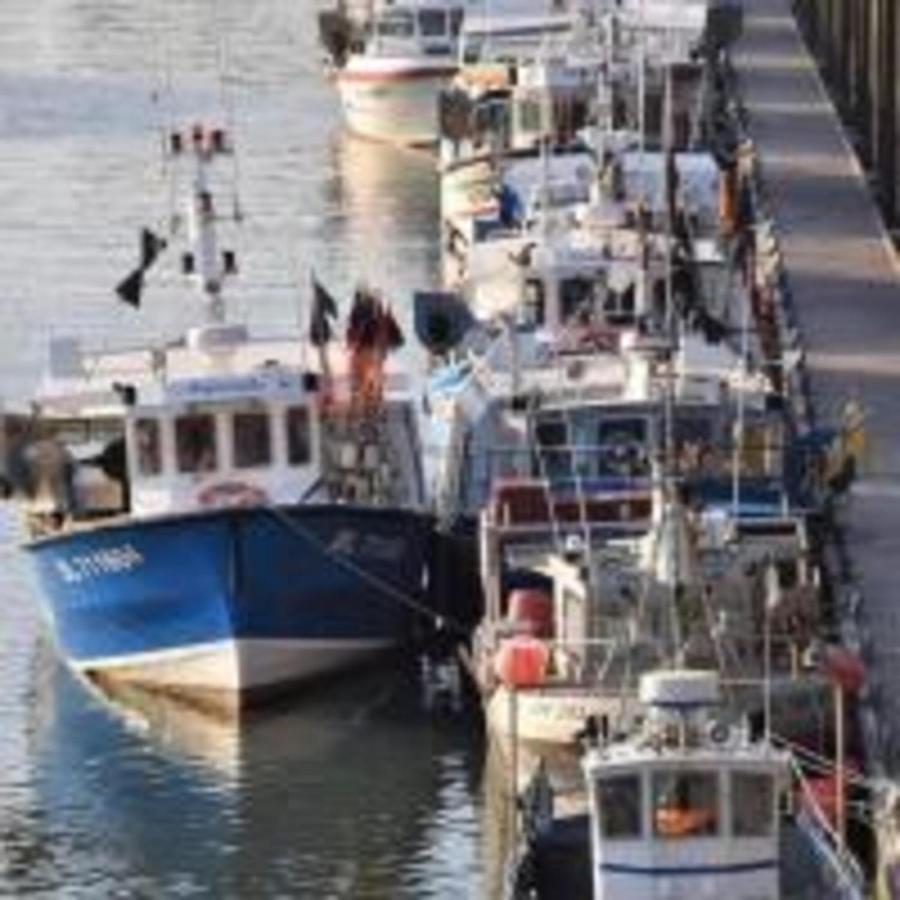 Meuble 4 Etoiles, A 2Mn De Nausicaa, Vue Sur Port Et Mer ブローニュ・シュル・メール エクステリア 写真